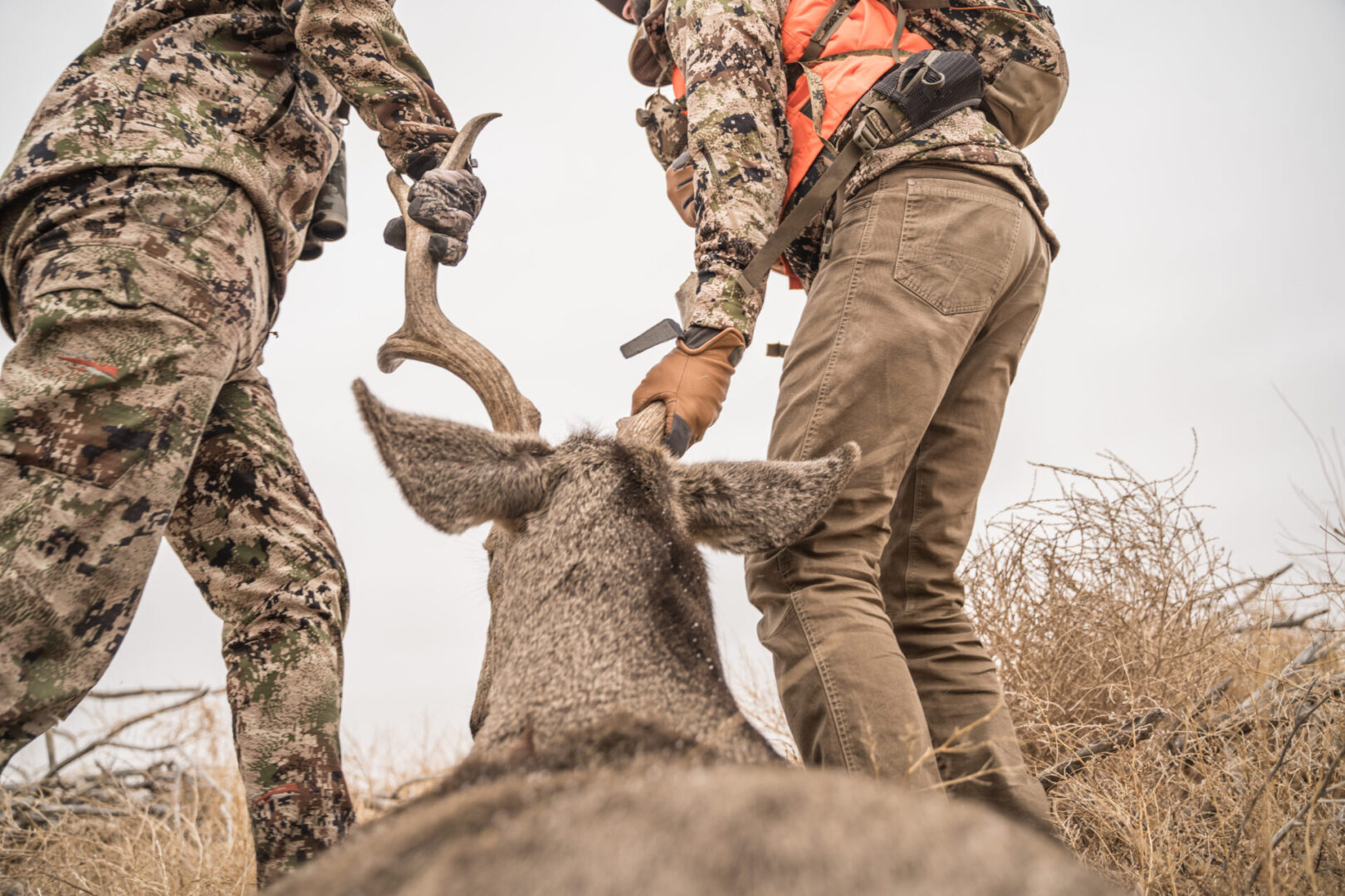 two men dragging an elk by the horns