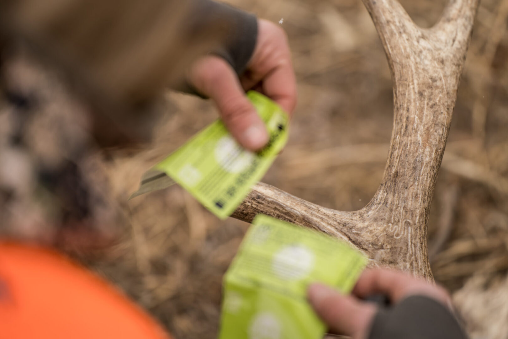 Hunter tagging an elk